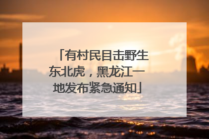 有村民目击野生东北虎，黑龙江一地发布紧急通知